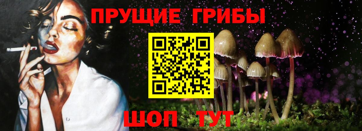 Галлюциногенные грибы Cubensis  Вход с VPN  Благодарный 